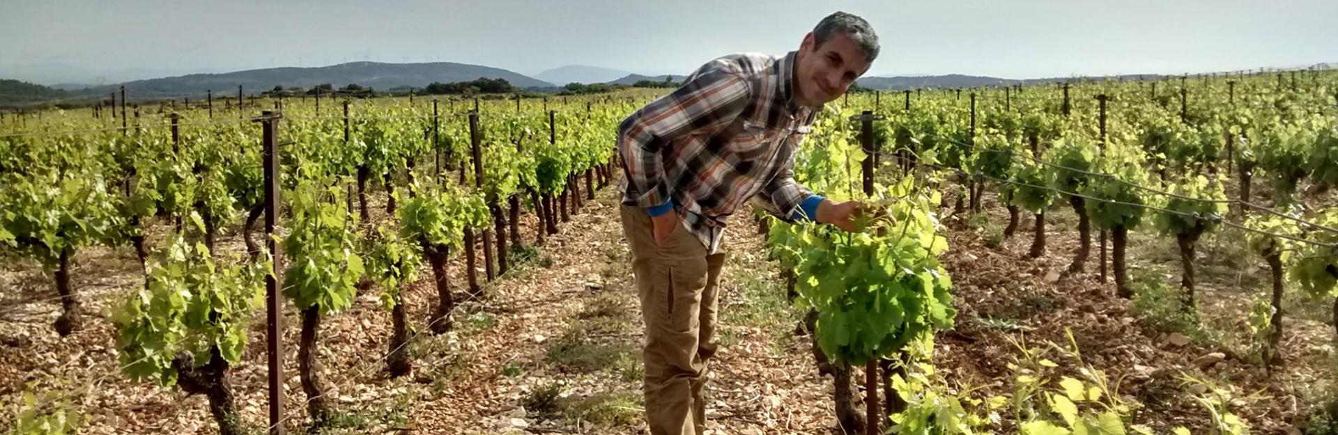 Domaine Cailhol Gautran - Abbayes et Châteaux en Languedoc