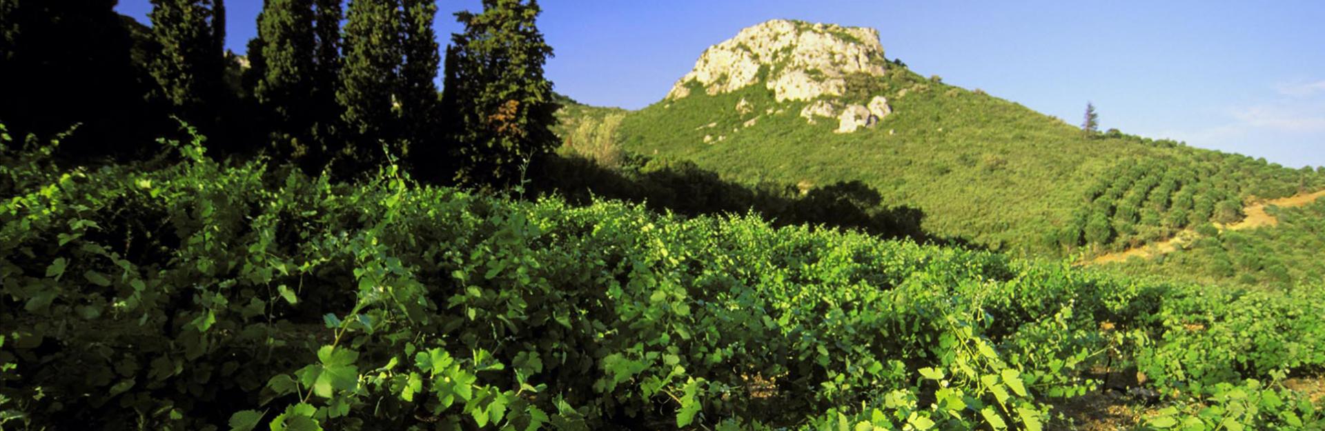 Château Gléon - Abbayes et Châteaux en Languedoc