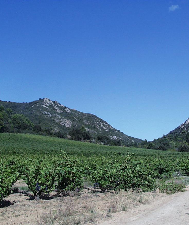 Château de Nouvelles