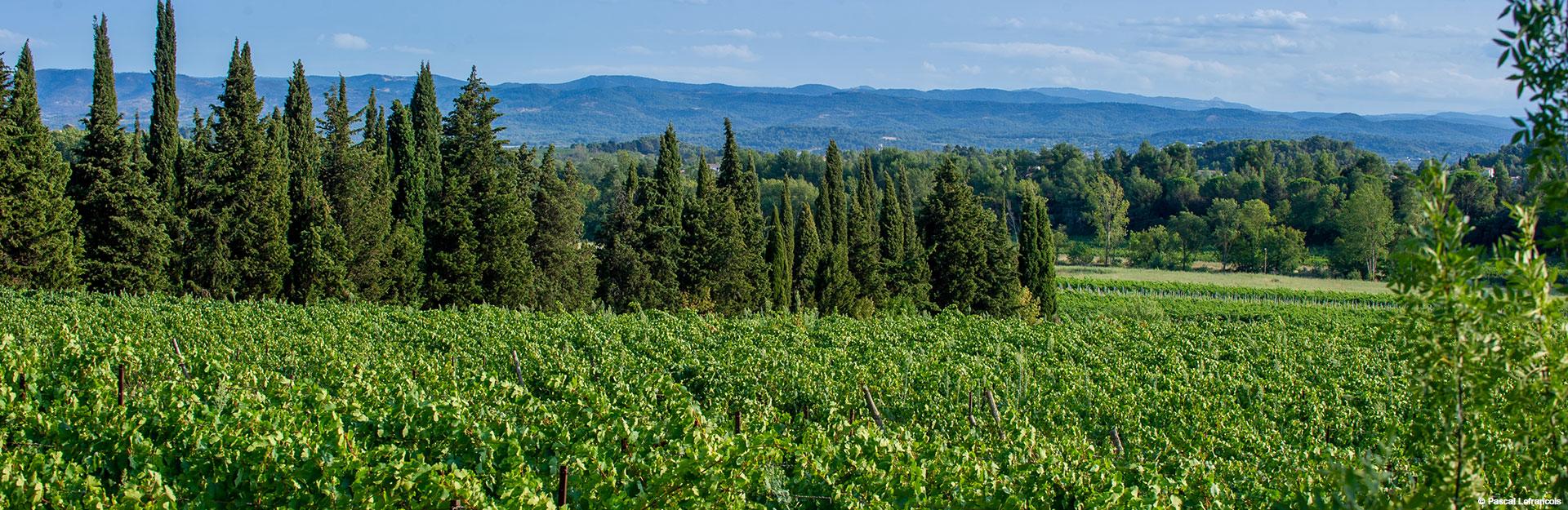 Château Salitis - Abbayes et Châteaux en Languedoc