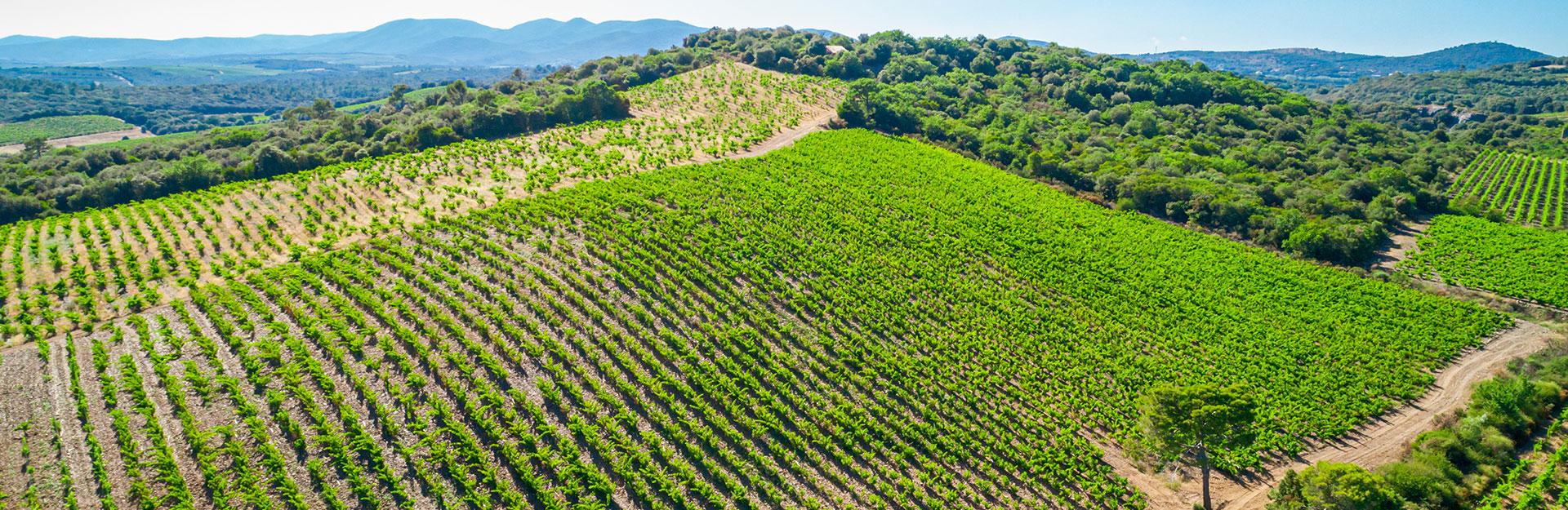 Abbaye Sylva Plana Domaine Deshenry’s - Abbayes et Châteaux en Languedoc